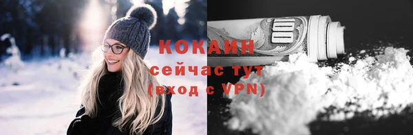 шишки Козельск