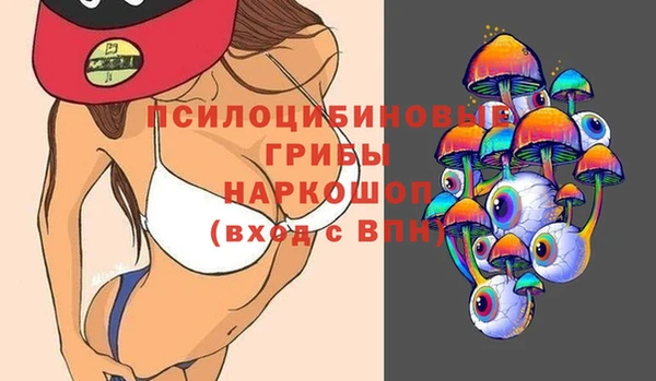 a pvp Белокуриха