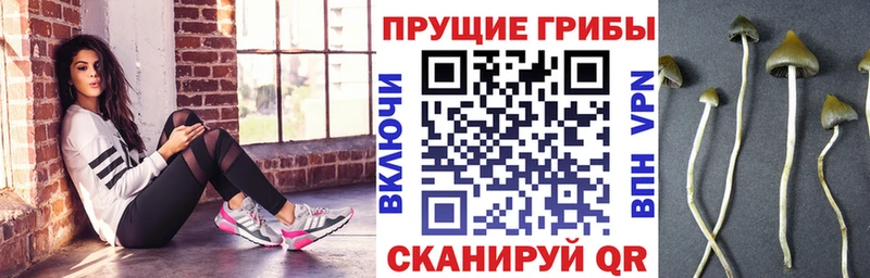 mega как зайти купить сайты Облучье Галлюциногенные грибы мухоморы